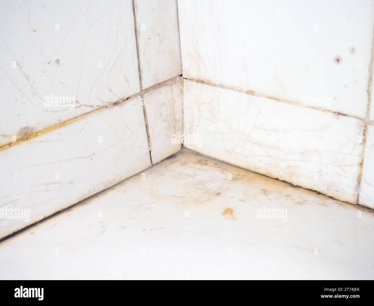 Dirty tiles in the bathroom. Black dots on bathroom enamel. Mold in the ...