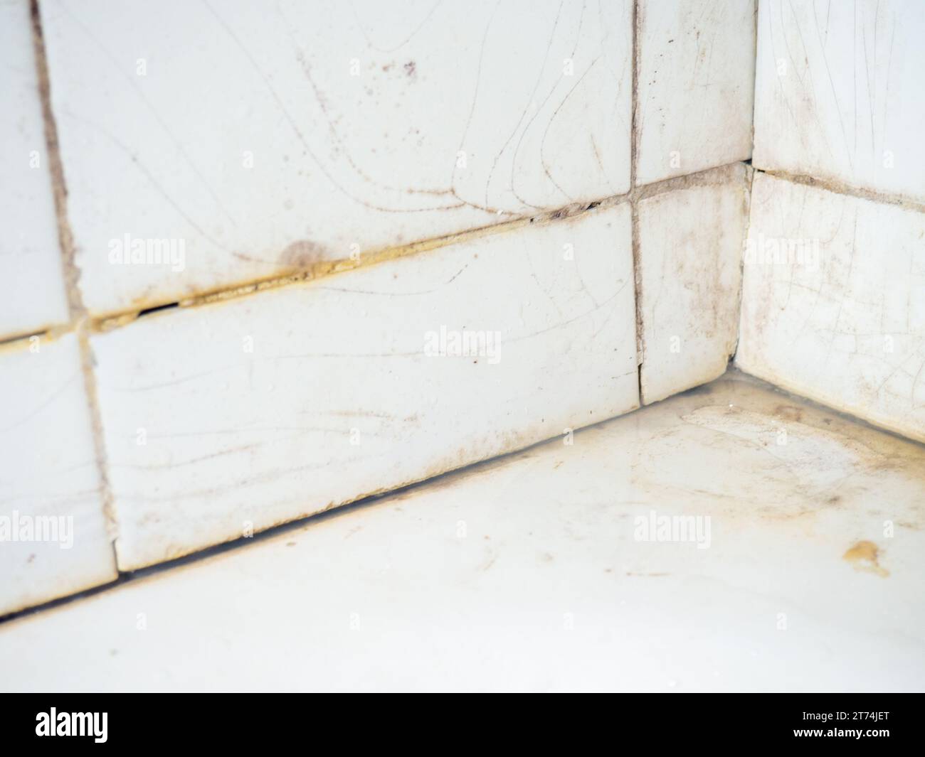 Dirty tiles in the bathroom. Black dots on bathroom enamel. Mold in the