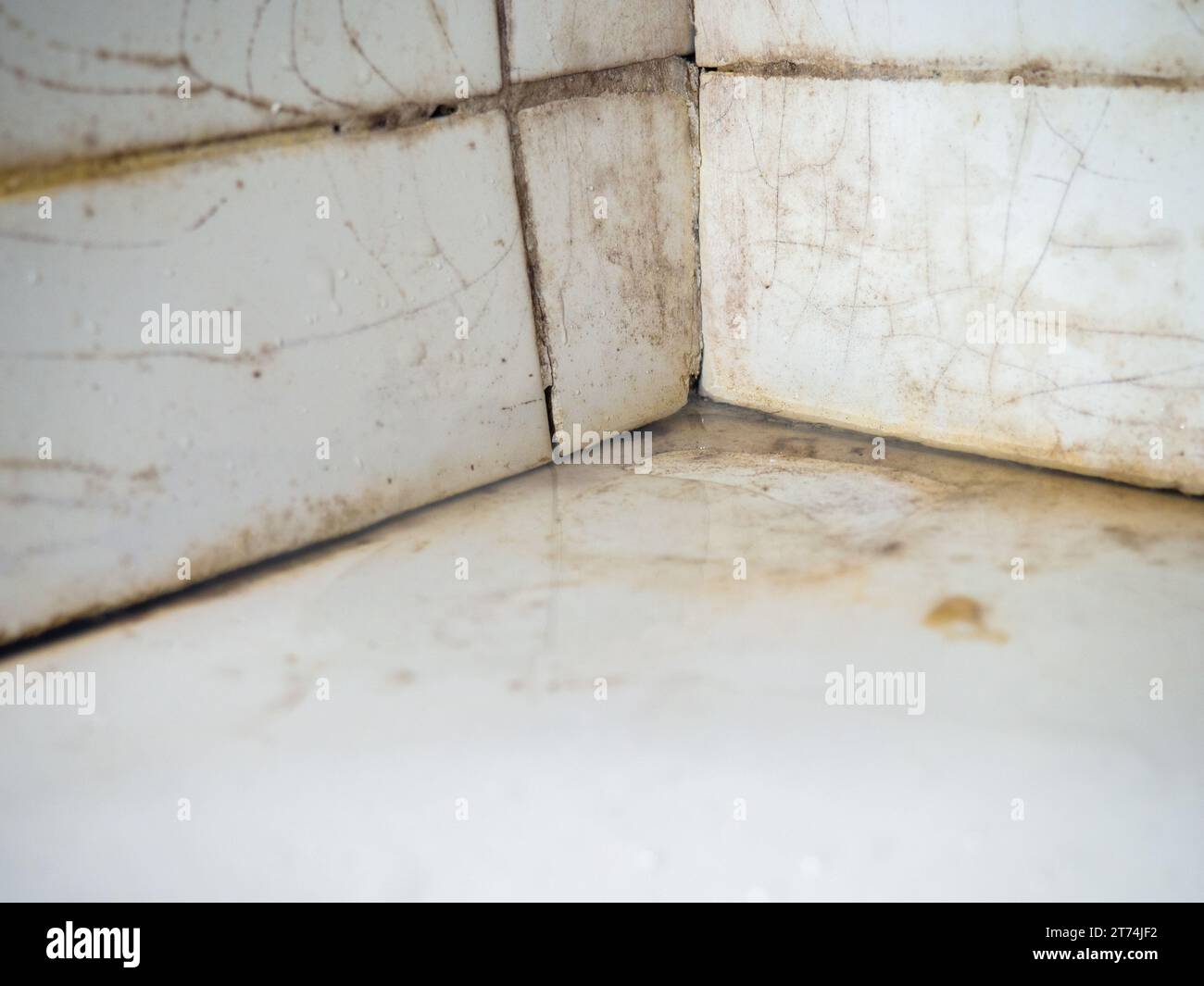 Dirty tiles in the bathroom. Black dots on bathroom enamel. Mold in the