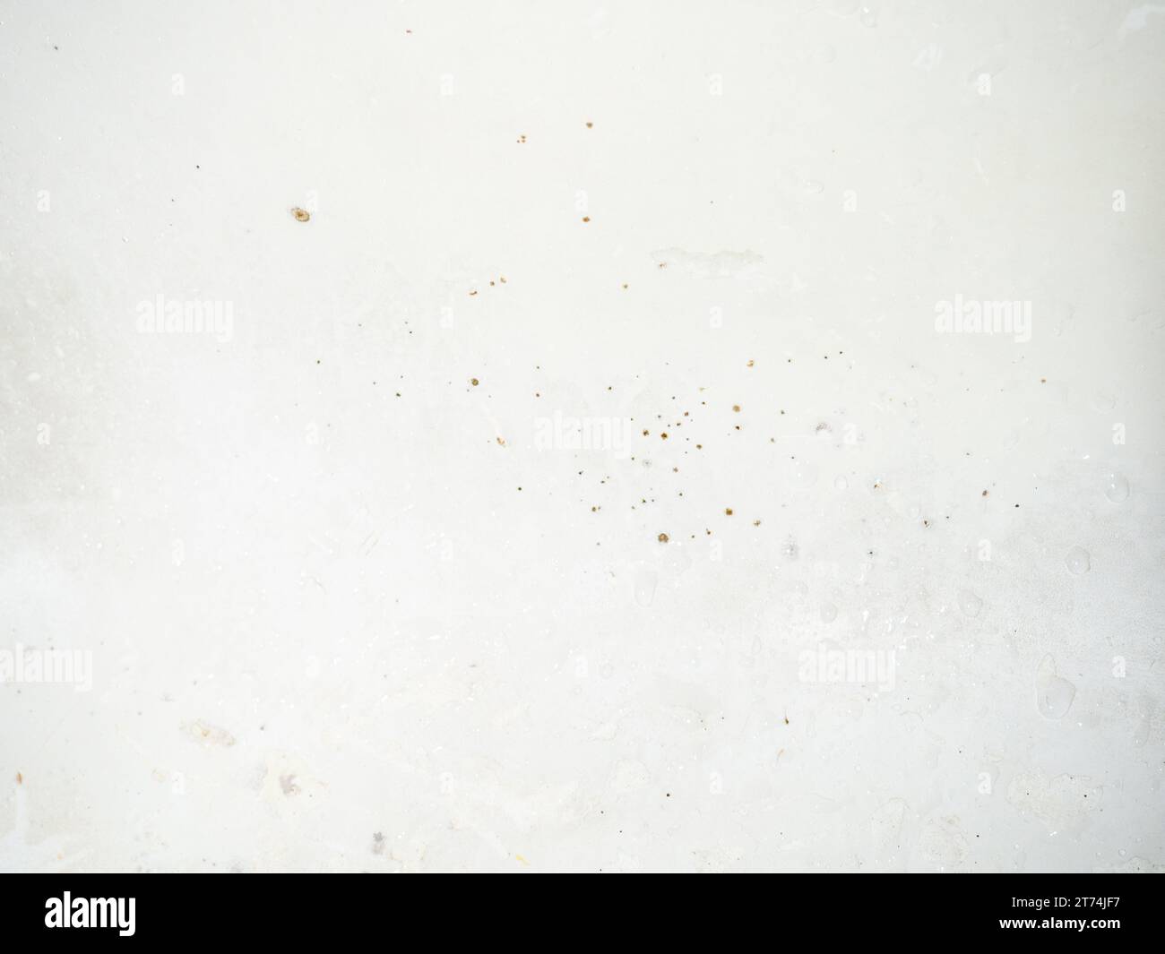 Black dots on bathroom enamel. Mold in the bathroom. Need a cleaning