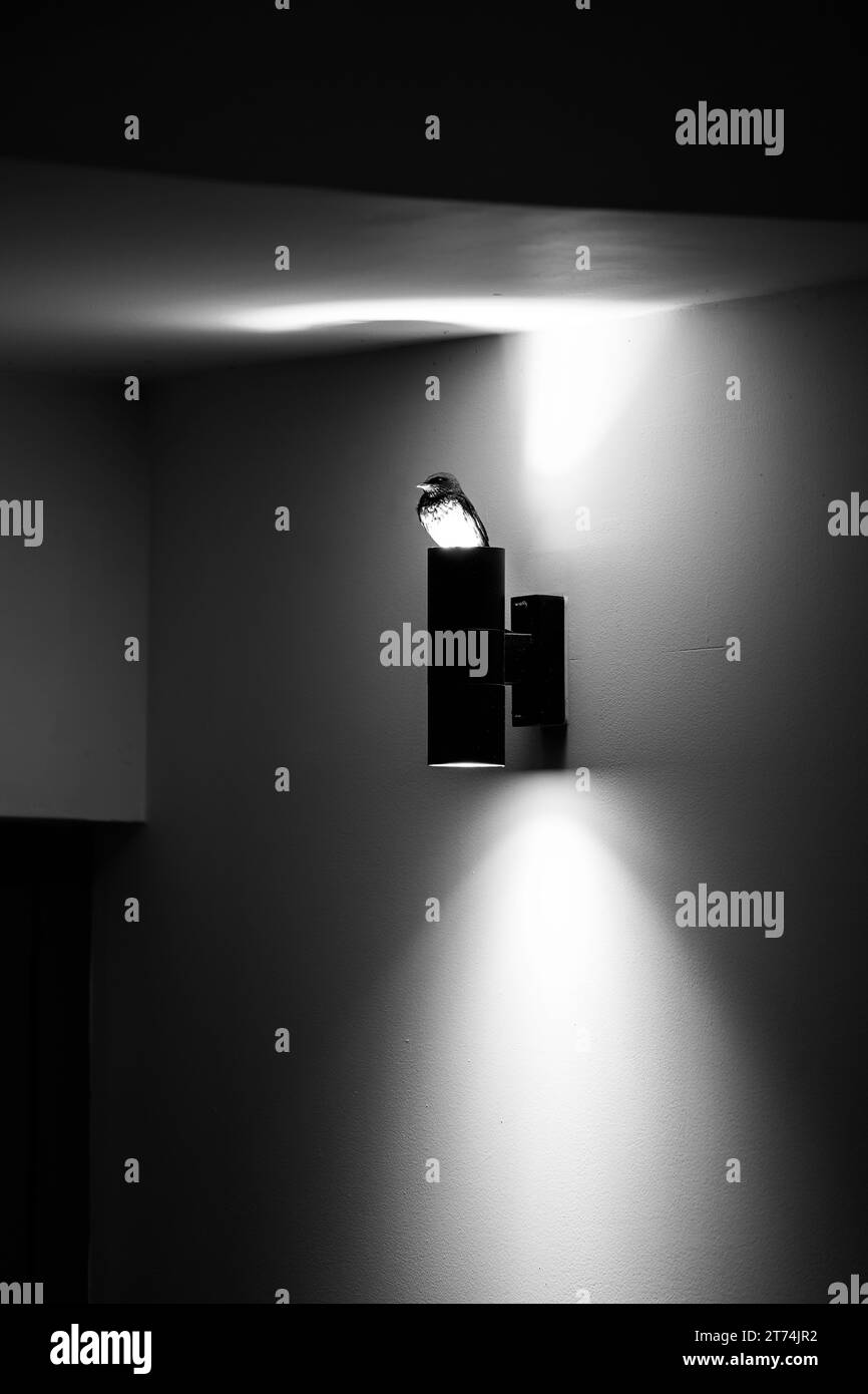 Two bright overhead lights illuminating a modern kitchen sink in a