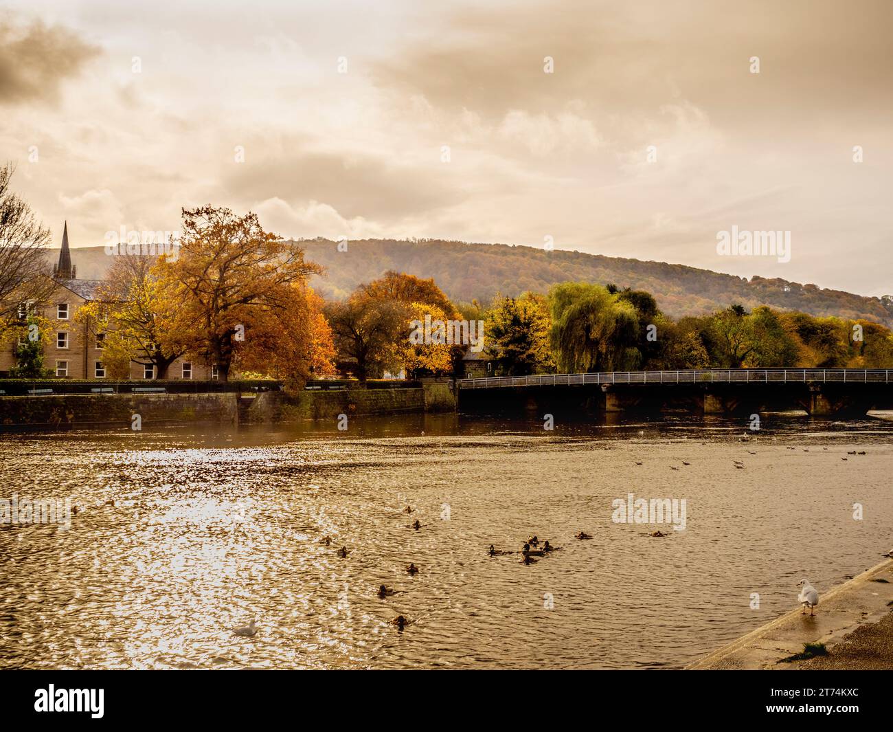 River Wharfe and Otley Bridge with the picturesque Otley Chevin Forest Park in the distance, on an autumn day. Stock Photo