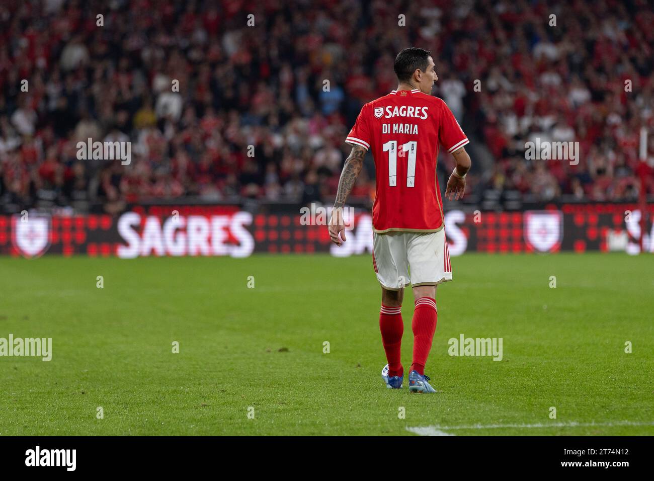 SL BENFICA 2-1 SPORTING CP - EM DIRETO 