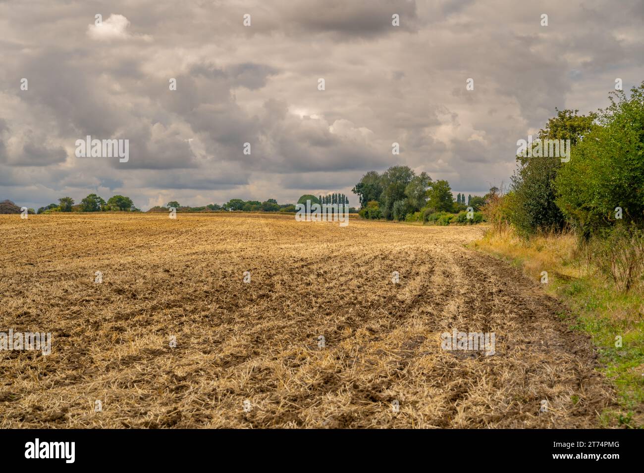 Ploughed fields near Fyfield Essex, on a cloudy day Stock Photo