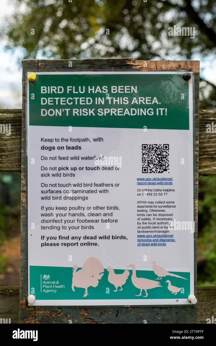 Sign or notice about avian influenza stating Bird flu has been detected in this area, England, UK Stock Photo