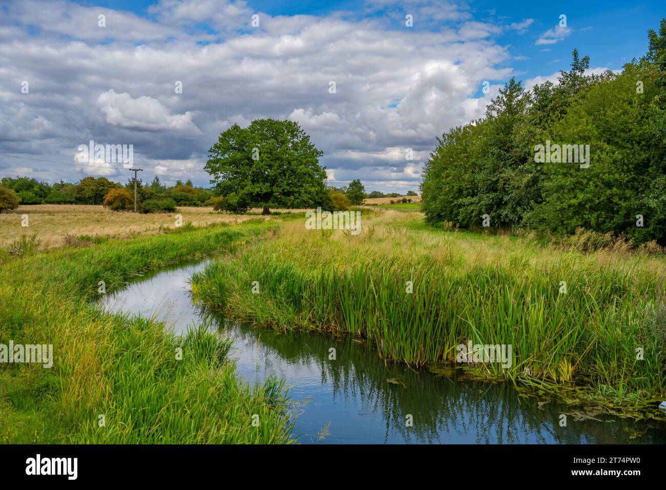 the river Roding at Fyfield, Ongar, Essex Stock Photo