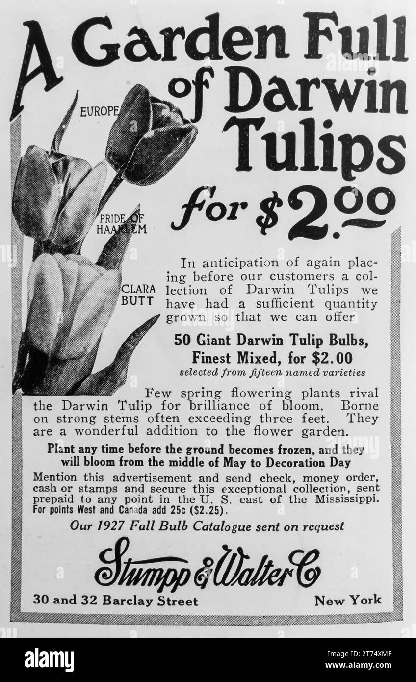 Commercial flower growing Black and White Stock Photos & Images Alamy