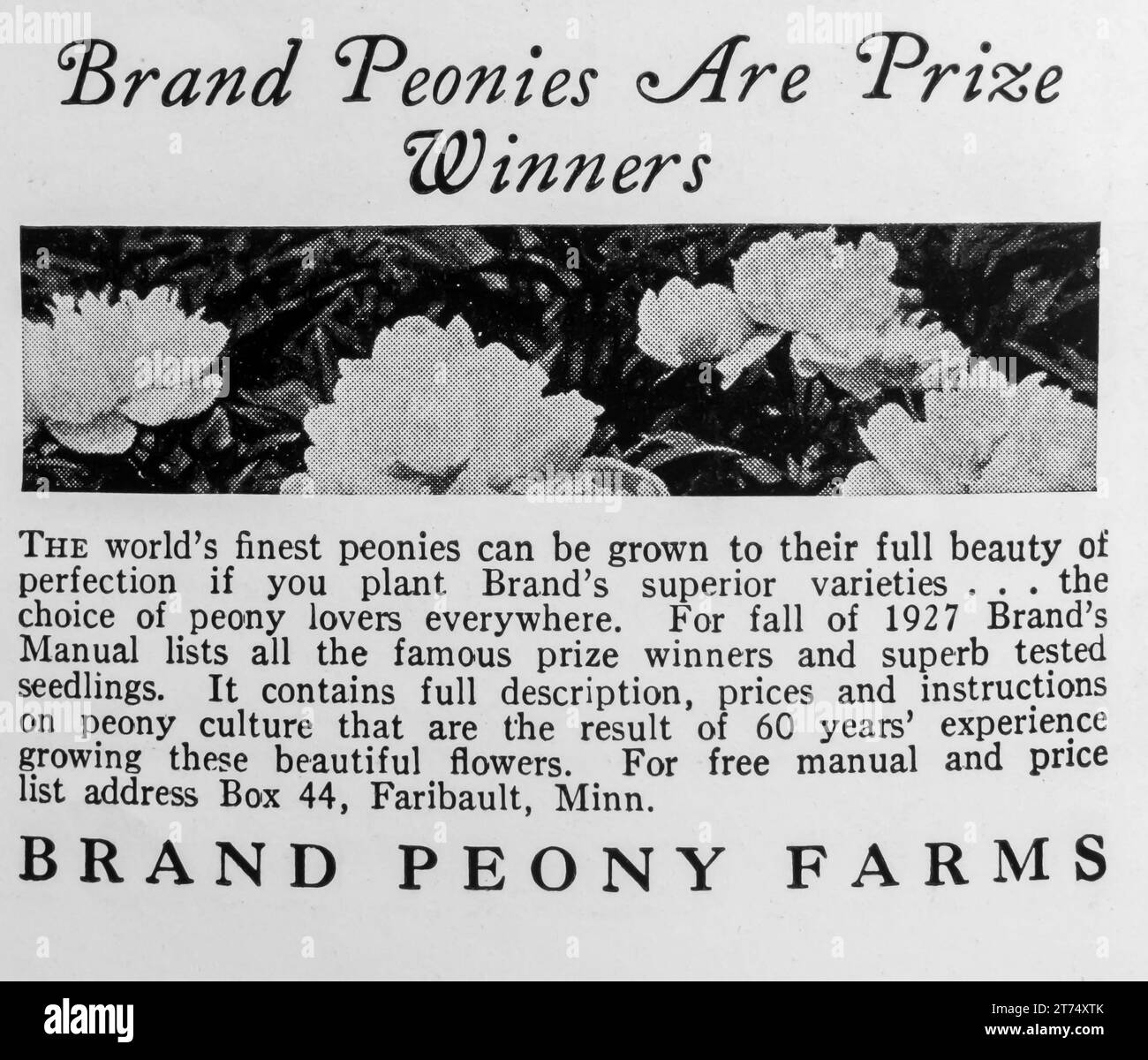 1927 brand peony farm ad hires stock photography and images Alamy