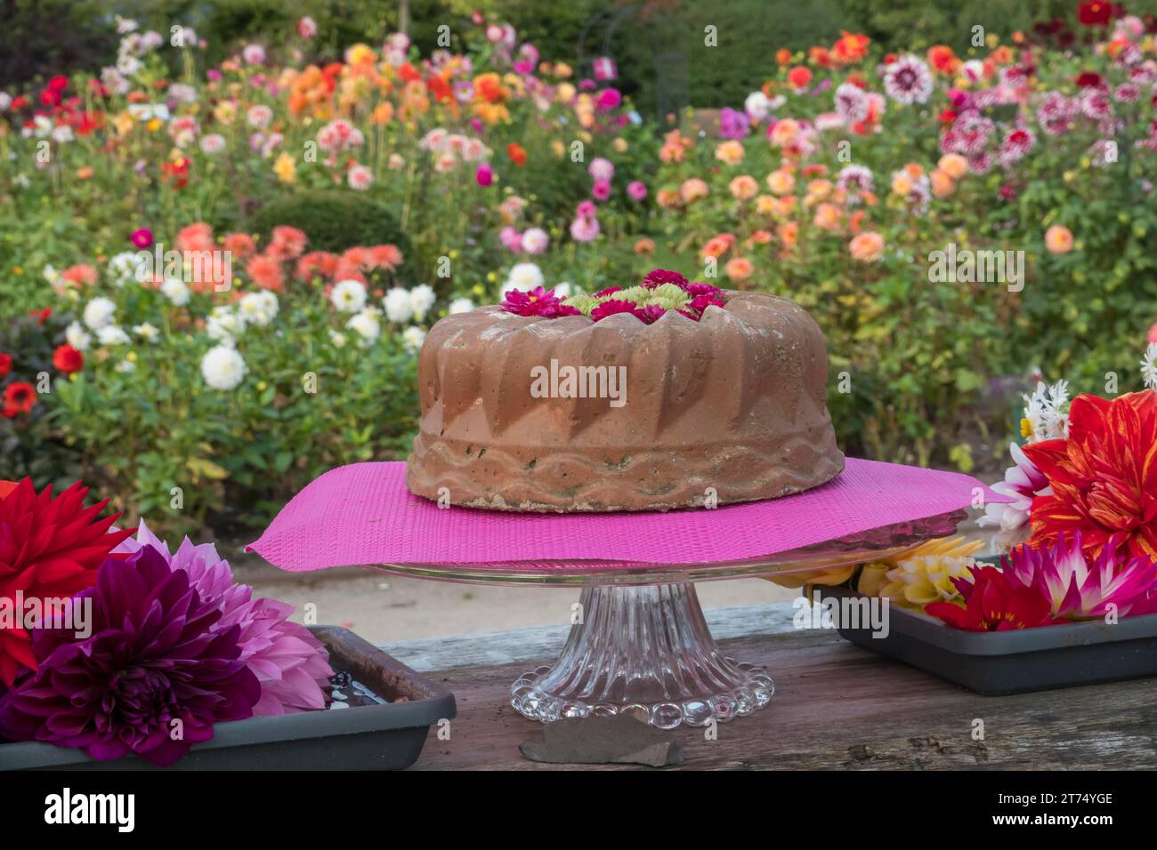 Guglhupf made of concrete as decoration and bowls with dahlia blossoms, in front of a bed of dahlias, Muensterland, North Rhine-Westphalia, Germany Stock Photo