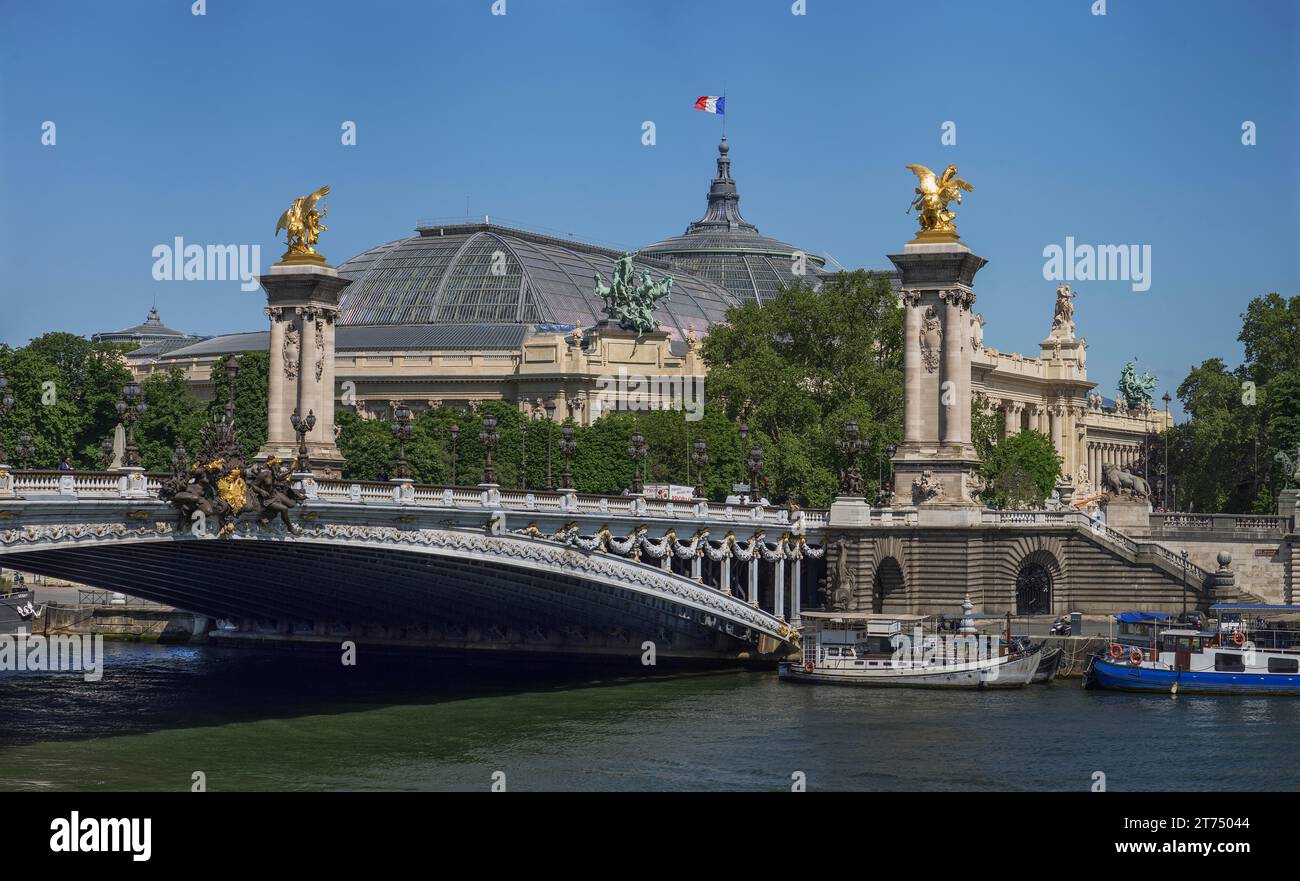 Paris Grand Palais and Pont Alexandre III over the Seine, Paris, France Stock Photo