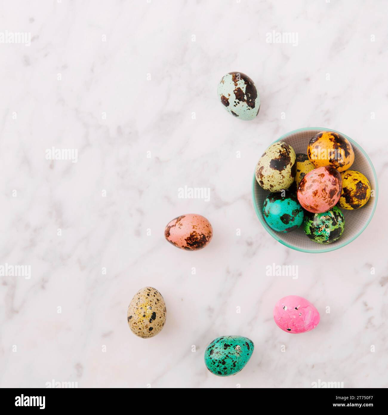 Set colourful quail easter eggs bowl Stock Photo