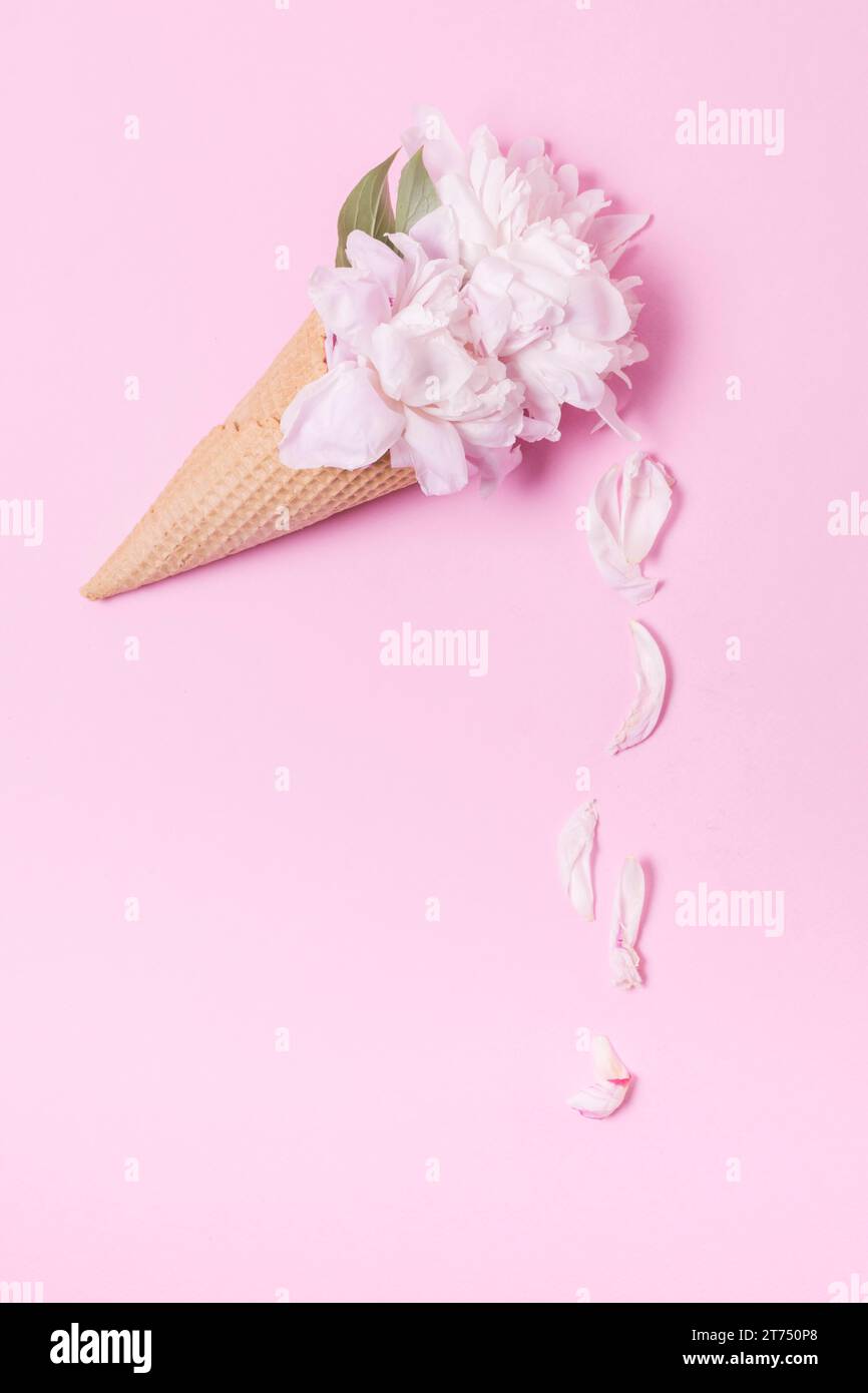 Abstract floral ice cream cone with petals Stock Photo