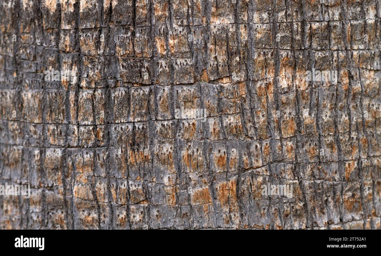 Flat lay stone surface Stock Photo - Alamy