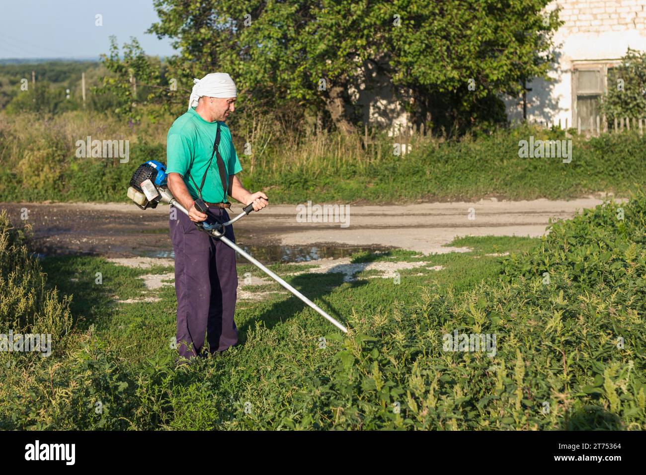 Man farm sewing grass with lawn mower Stock Photo