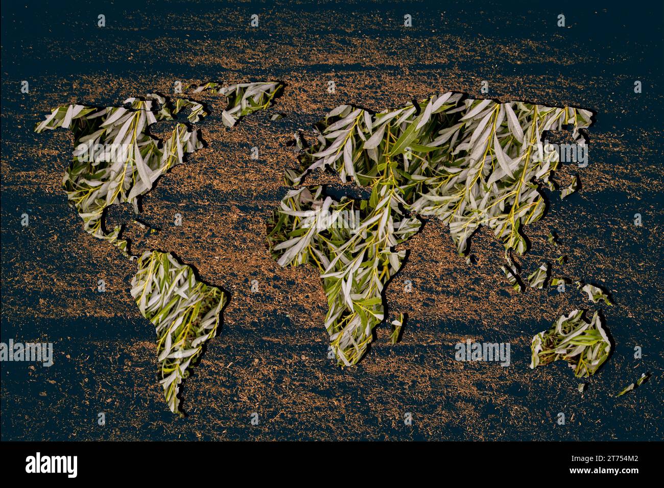 Roughly outlined world map with white background Stock Photo