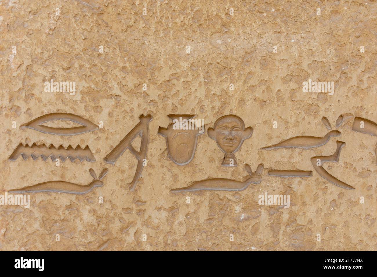 SAQQARA, EGYPT - MARCH 23, 2023:  Ancient Egyp hieroglyphic texts on walls  in the Saqqara necropolis, Egypt Stock Photo