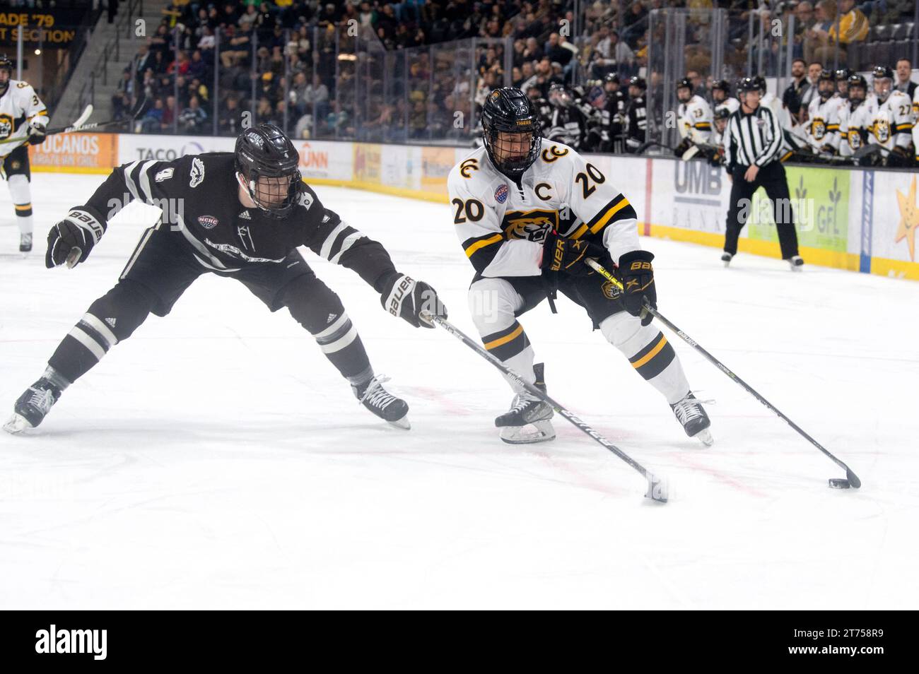 Logan will of colorado college 20 carries the puck up the ice during a