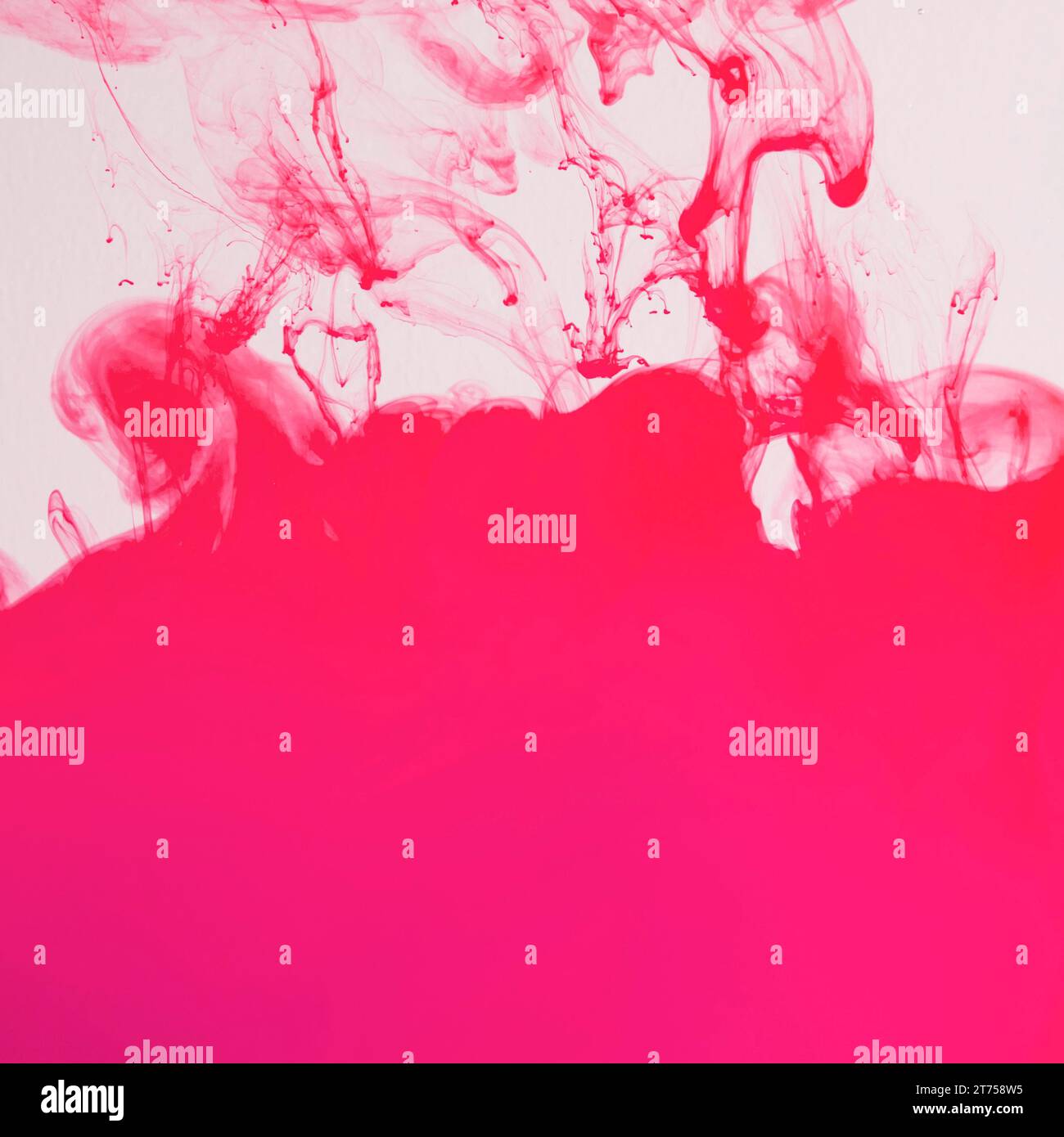 Artistic dense pink cloud underwater Stock Photo