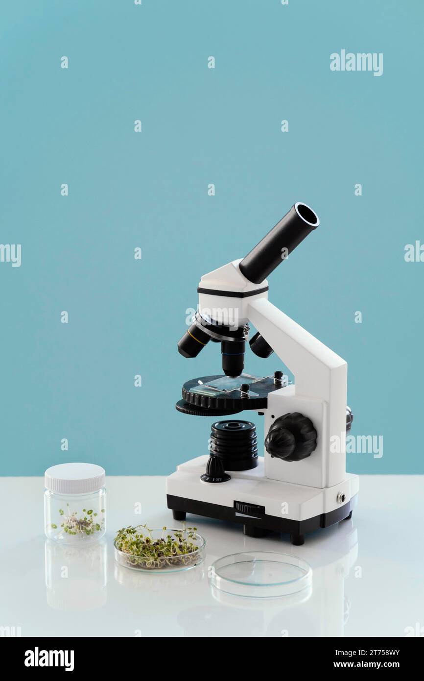 Arrangement with microscope plants Stock Photo