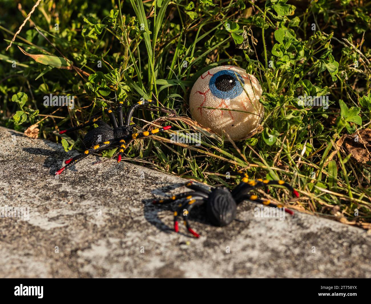 A spooky Halloween scene with a fake eye and two faux spiders in the grass near a weathered wall Stock Photo
