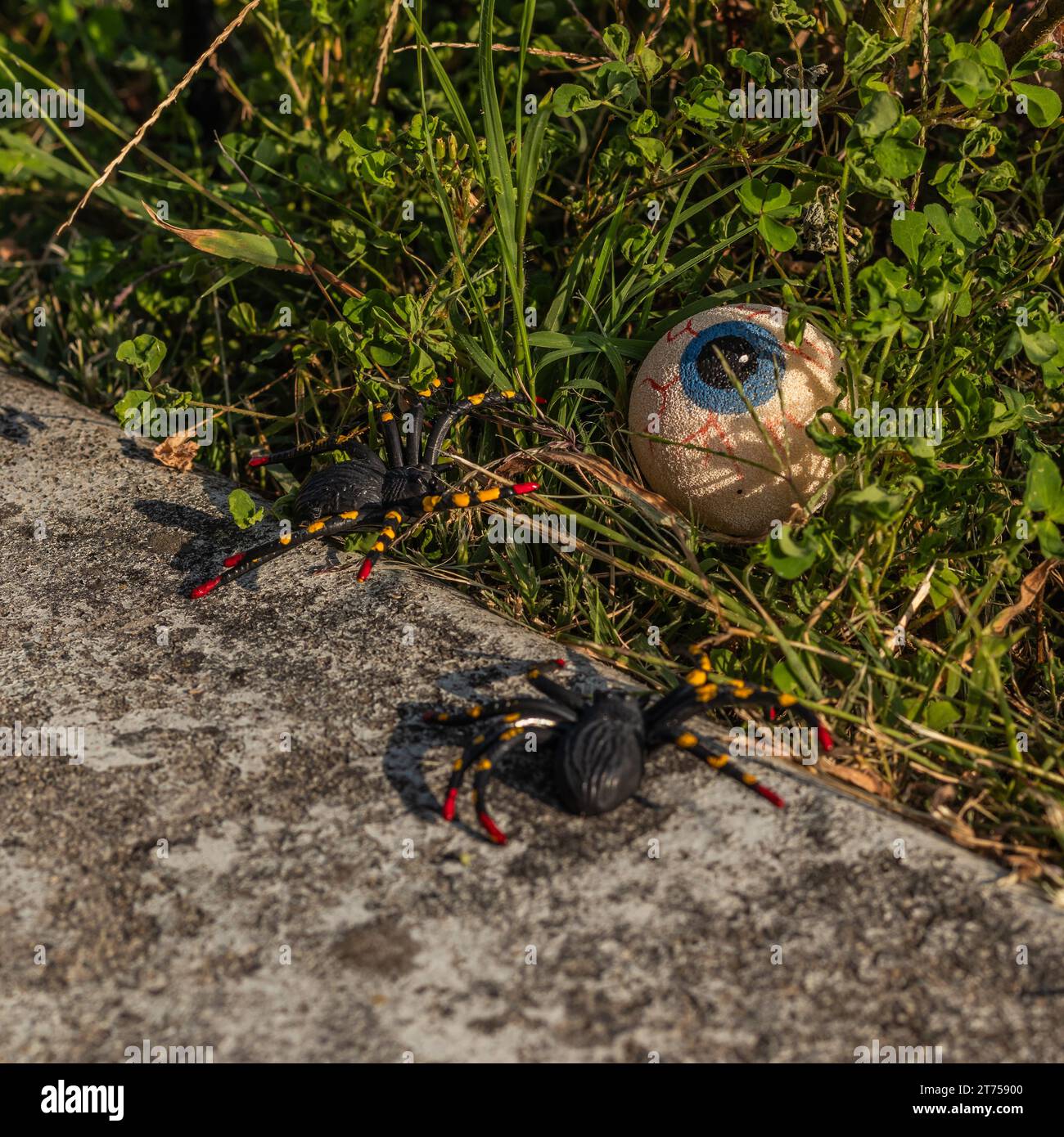 Eerie garden decor featuring a fake eye and two faux spiders, setting the stage for a Halloween fright fest Stock Photo