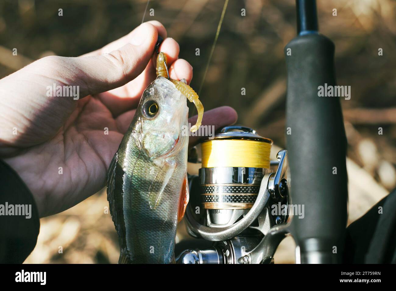 Fisherman with caught fish hi-res stock photography and images - Alamy