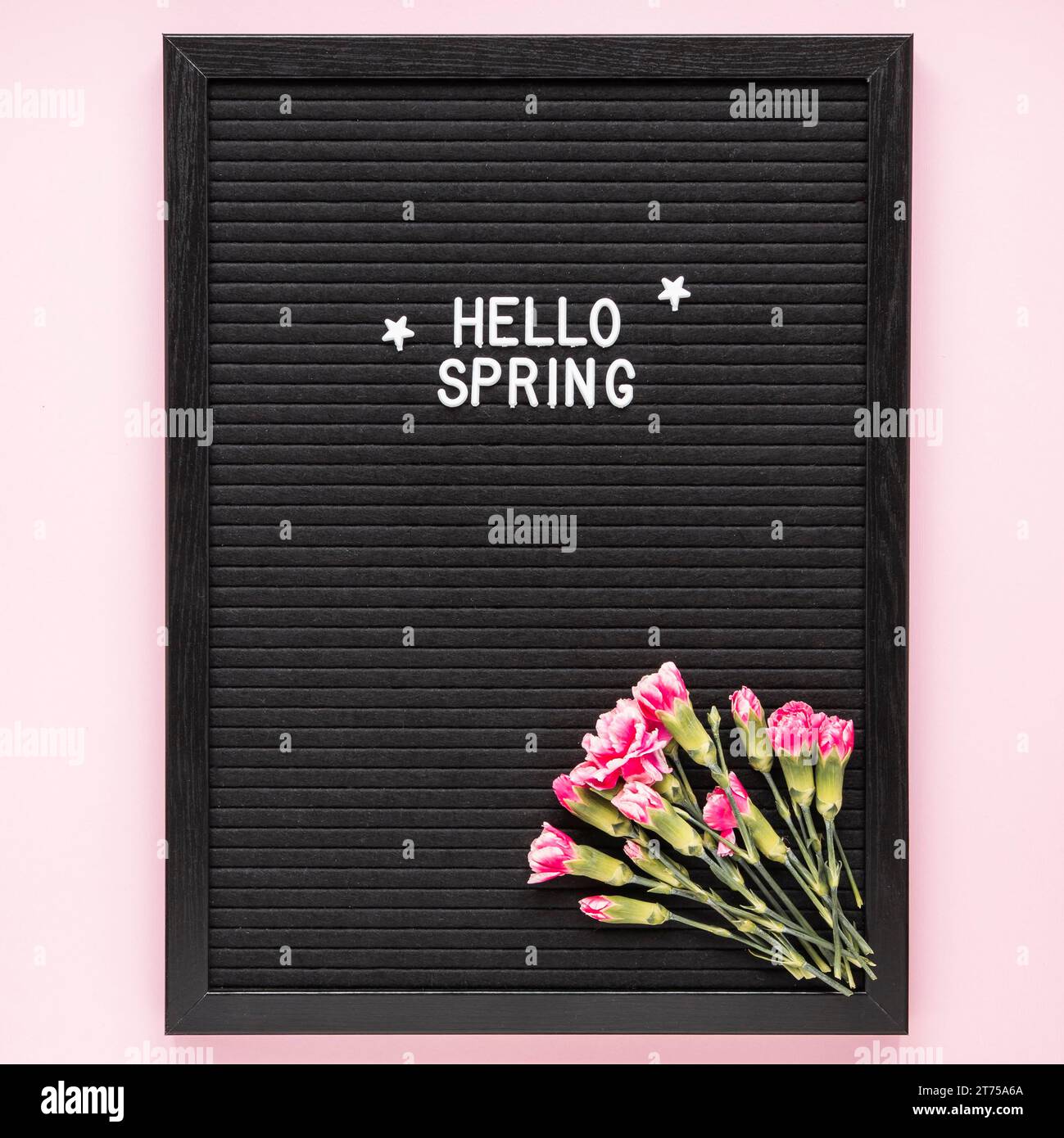 Hello spring inscription with pink flowers black board Stock Photo