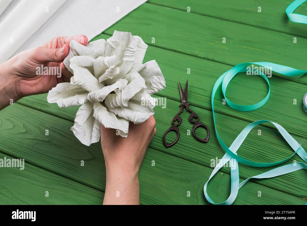 Person s hand holding fake crepe paper flower green textured background Stock Photo