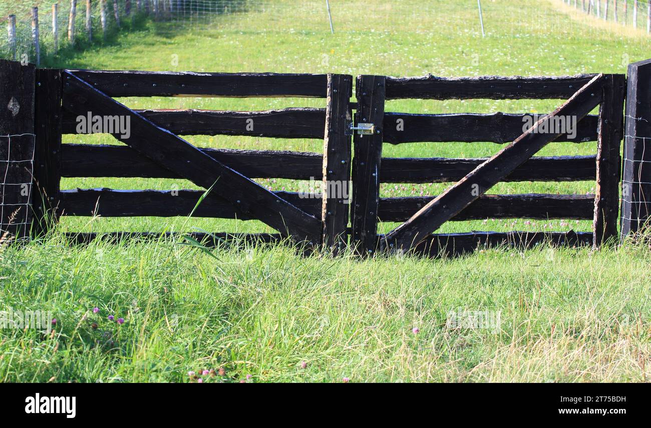 Wooden gate of a pasture, green meadow in the background Stock Photo
