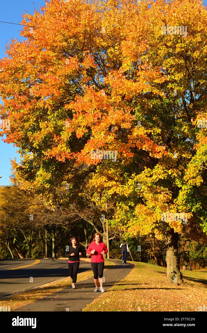 Two women jog surrounded by brilliant autumn leaves and fall foliage Stock Photo