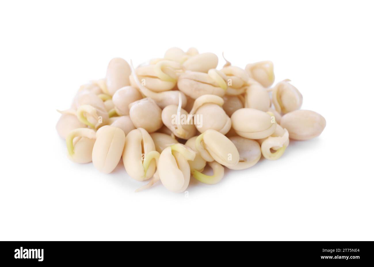 Pile of sprouted kidney beans isolated on white Stock Photo Alamy