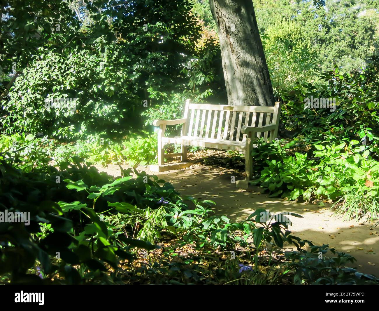Park Bench in Gamble Garden, Palo Alto, California Stock Photo