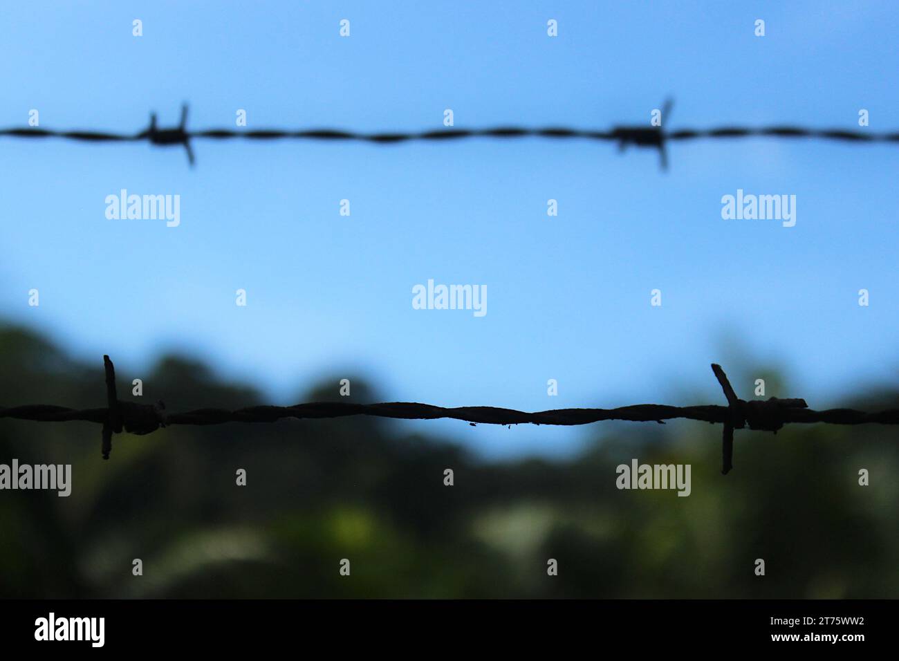 Rural life in perspective, close-up view of a barbed wire fence in the foreground, while a blurred natural landscape in the background. Stock Photo