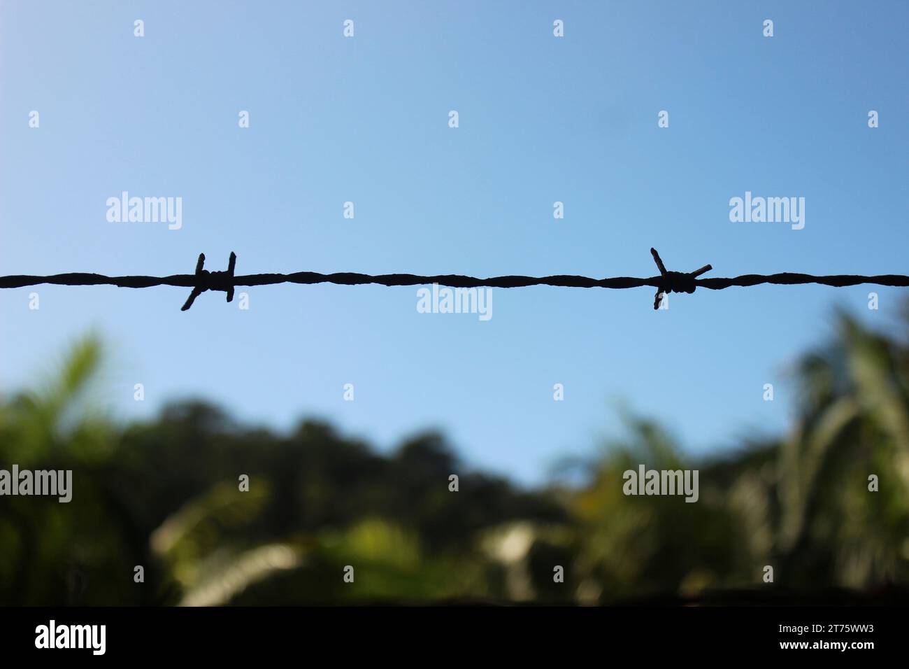 Rural life in perspective, close-up view of a barbed wire fence in the foreground, while a blurred natural landscape in the background. Stock Photo