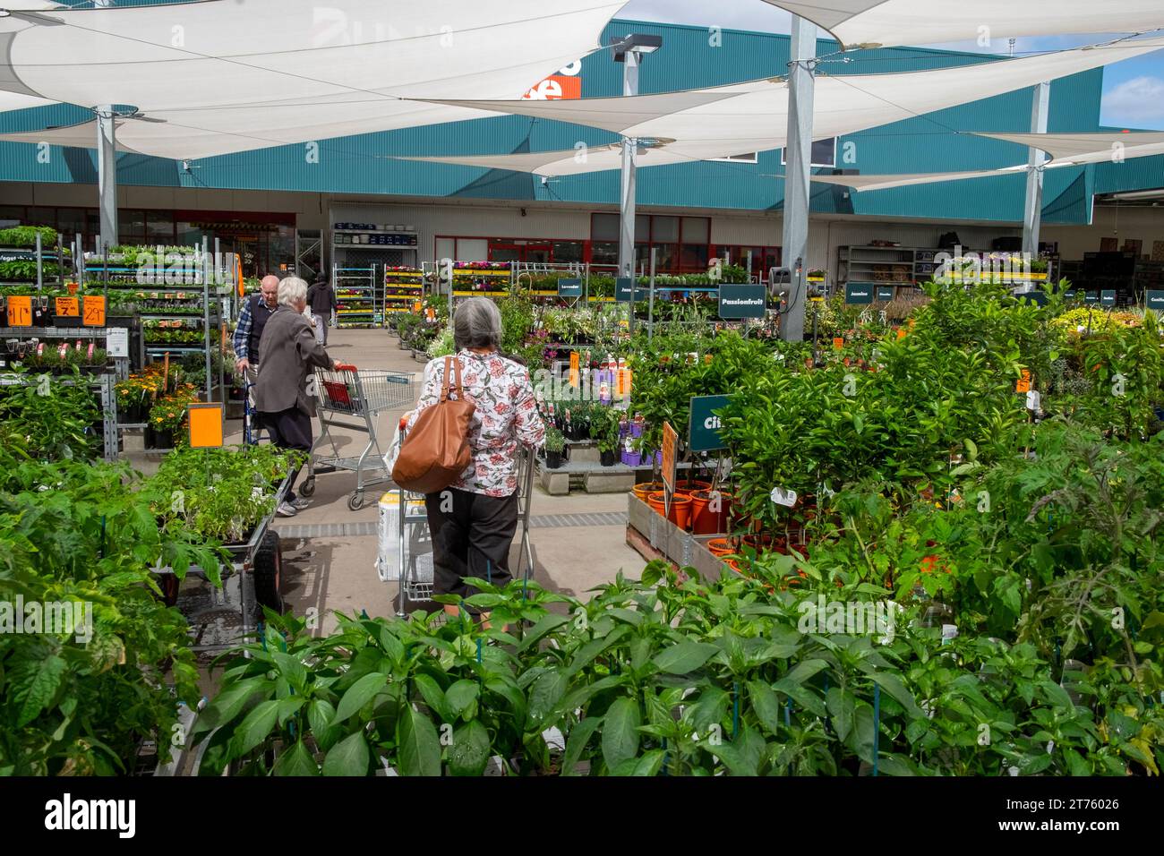 Young women holding plants garden centre hi-res stock photography and ...