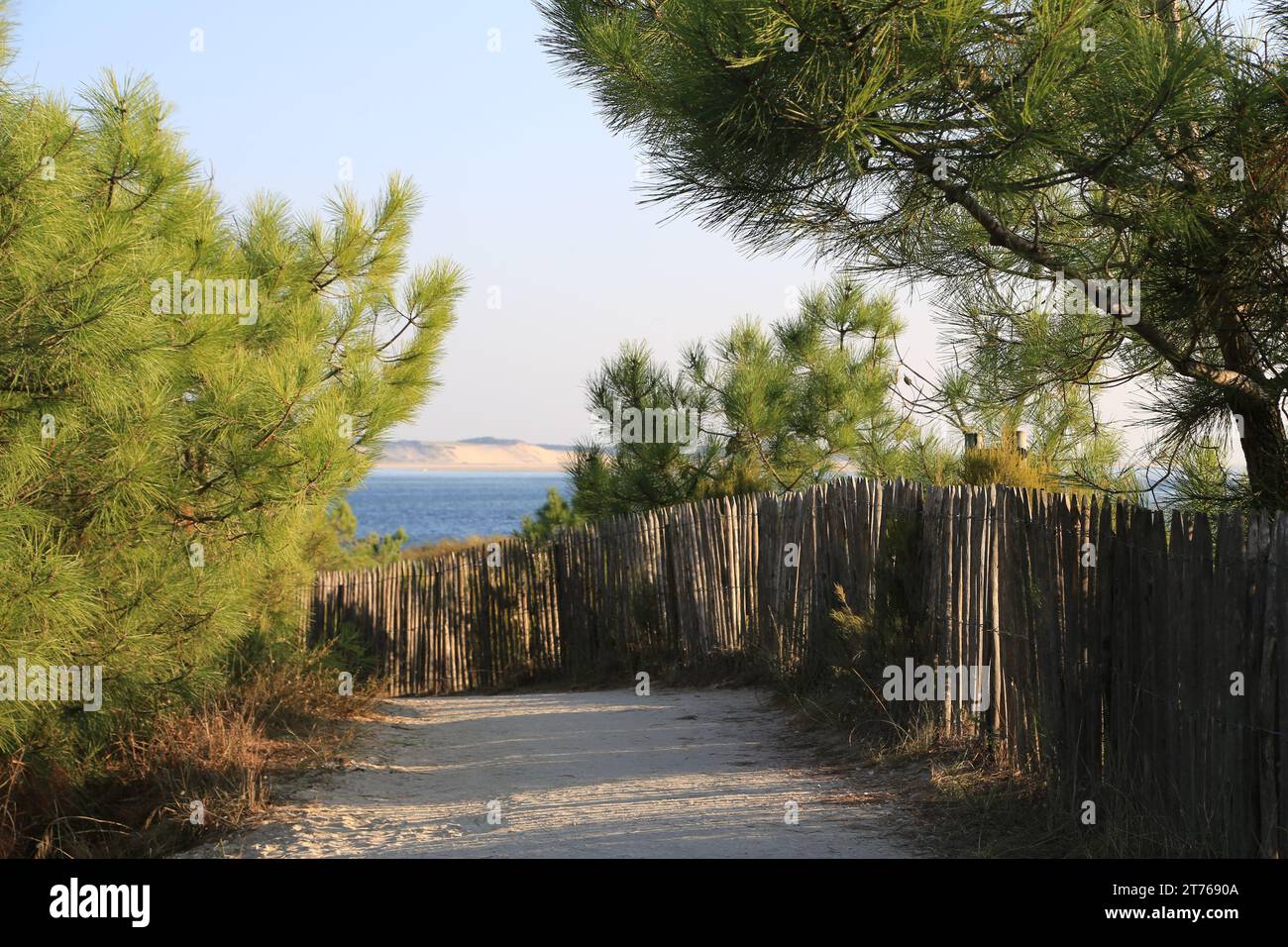 The Pointe du Cap Ferret separates the Atlantic Ocean and the Arcachon basin (Bassin d’Arcachon) opposite the Dune du Pilat. It is a particularly frag Stock Photo