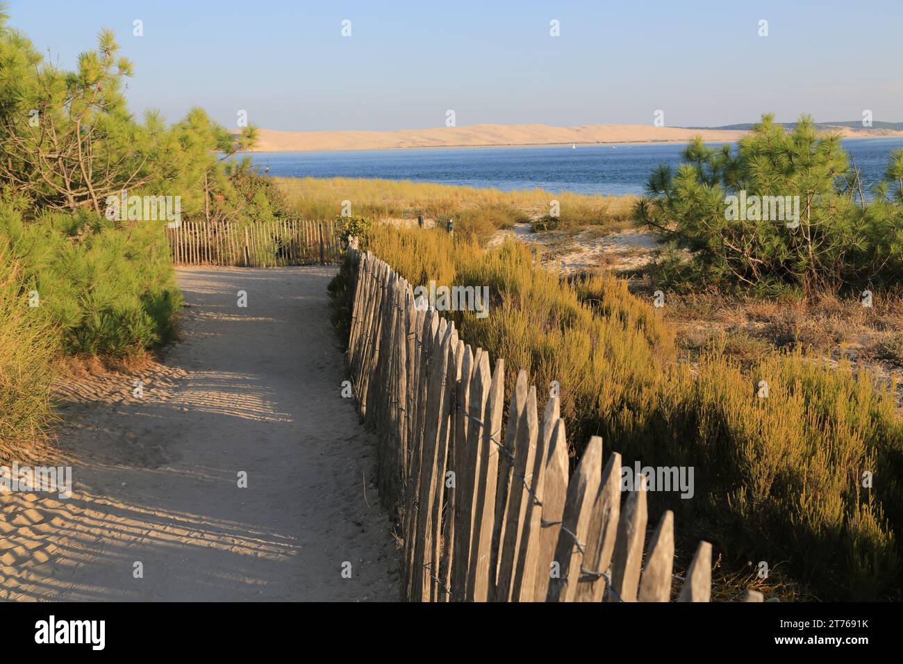 The Pointe du Cap Ferret separates the Atlantic Ocean and the Arcachon basin (Bassin d’Arcachon) opposite the Dune du Pilat. It is a particularly frag Stock Photo