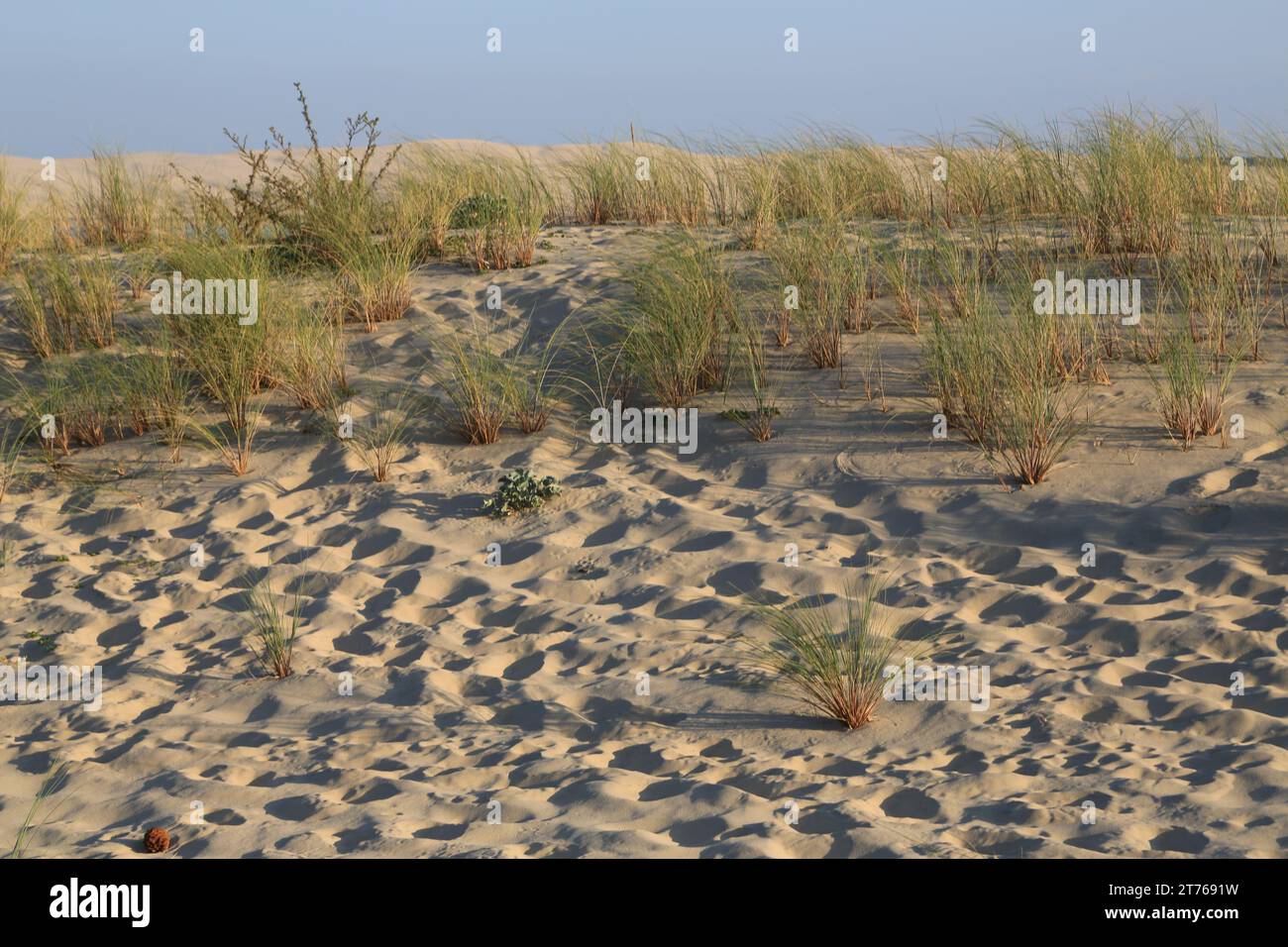 Carte Ou Guide Touristique - Bassin D'Arcachon : île Aux Oiseaux, Pointe Du Ferret, Dune Du Pyla