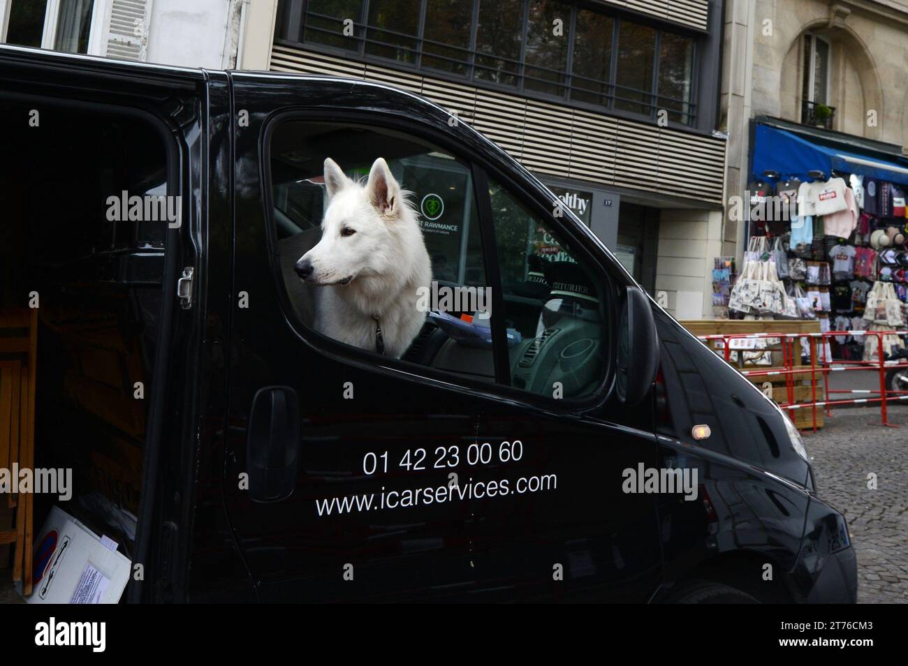 A pretty dog looking out the car's window in Montmartre, Paris, France. Stock Photo