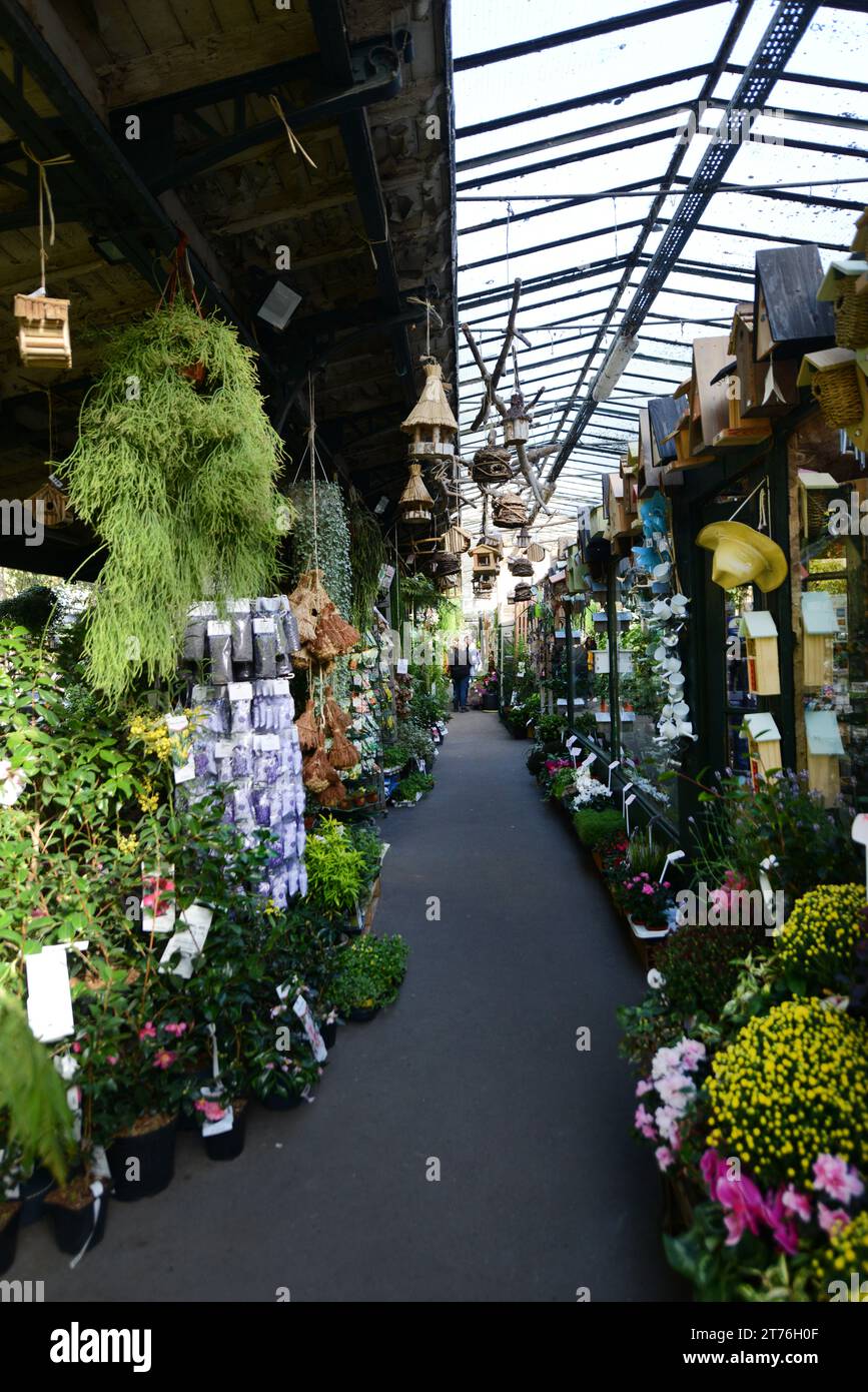 Marché aux Fleurs Reine Elizabeth II is a 19th cuntury old flower & plant market at Place Louis Lépine, Paris, France. Stock Photo