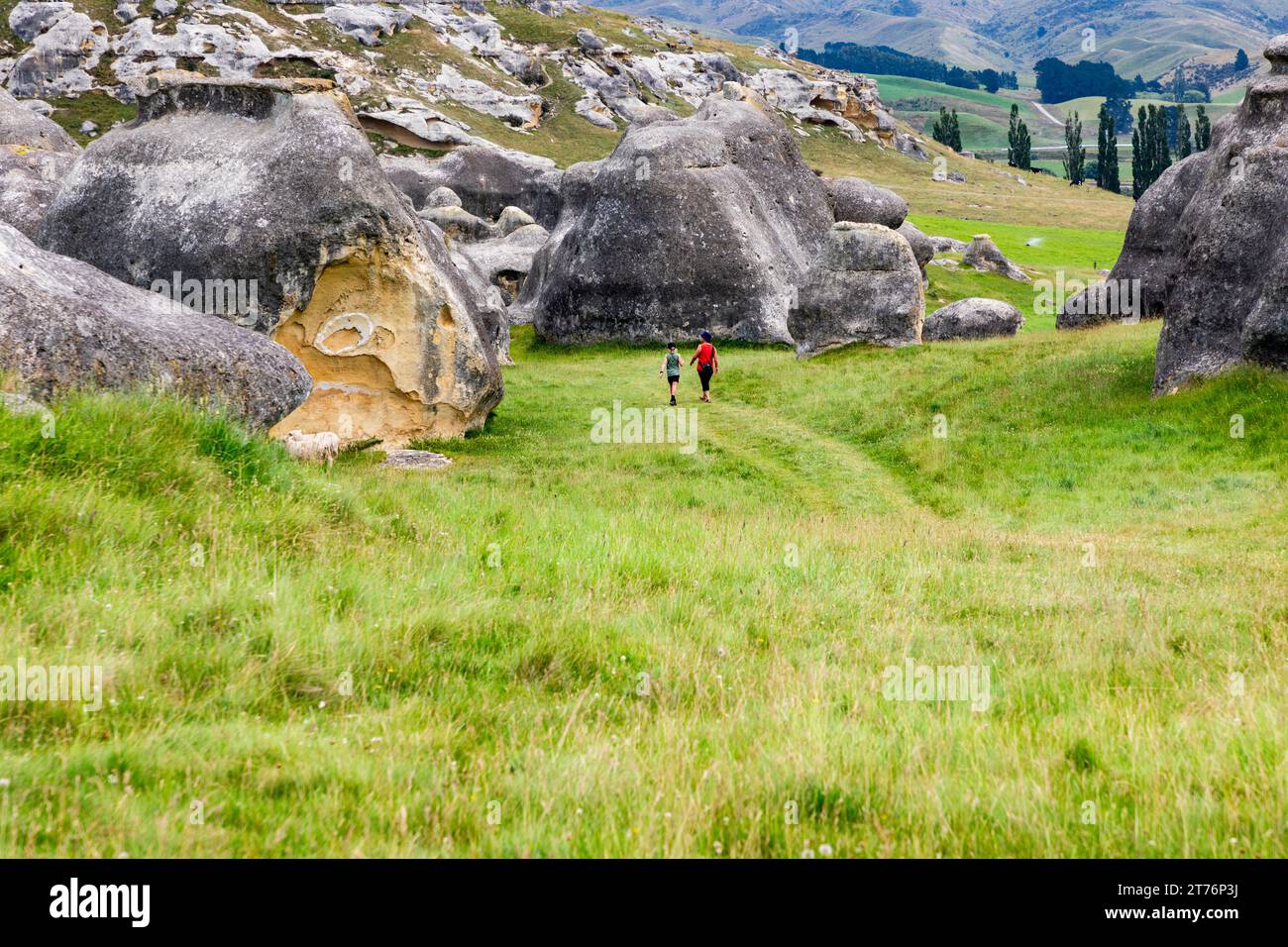 The Elephant Rocks near Duntroon in North Otago, New Zealand, are a collection of large weathered limestone rocks. The wider area around Duntroon is k Stock Photo