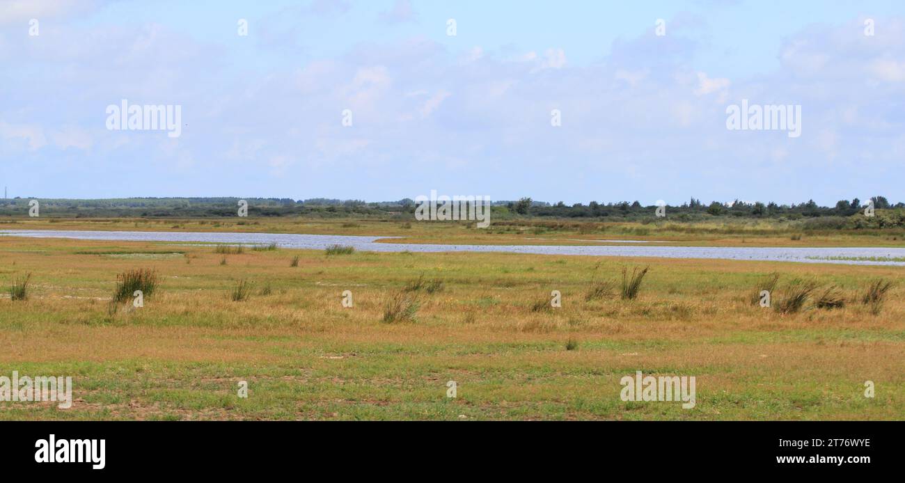 A natural landscape on the North Sea coast in the Netherlands Stock Photo