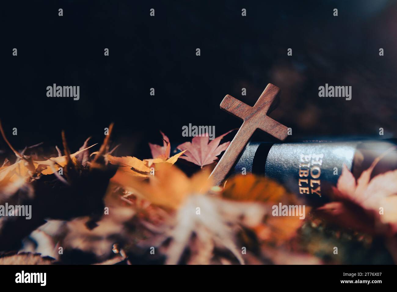 Autumn landscape with bright lights, fallen leaves, red maple leaves