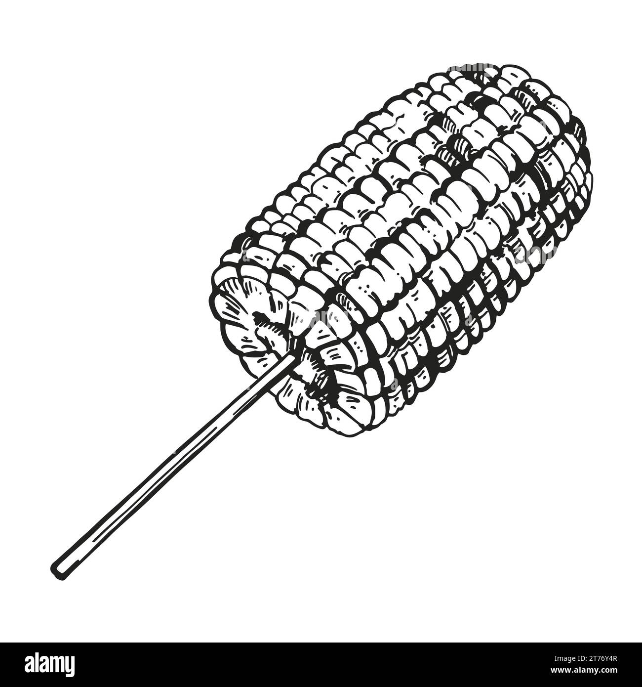 Hand drawn vector sketch of baked sweet corn, grilled corn ear, black