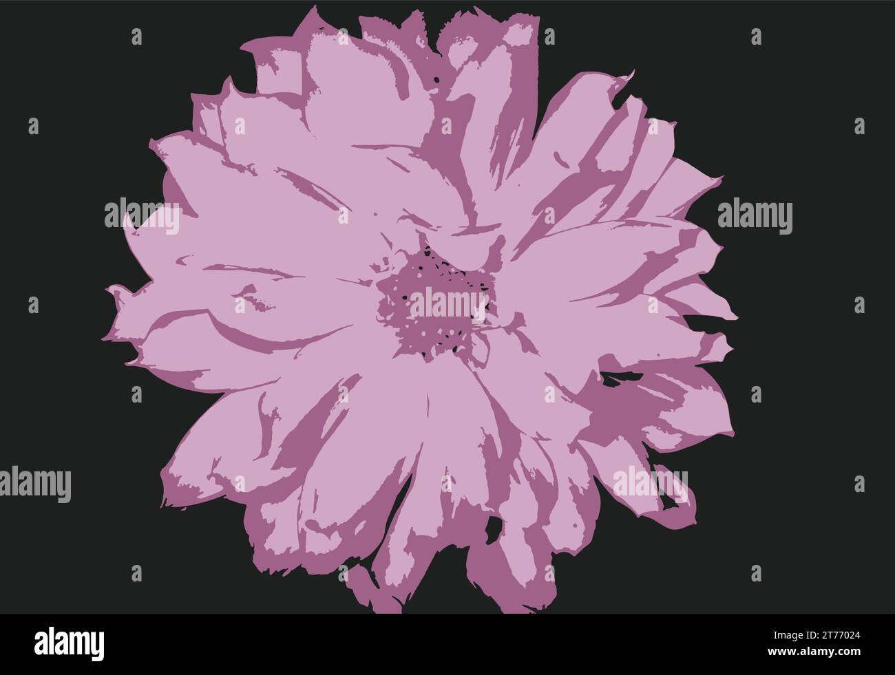 Vector image of a single pink chrysanthemum Stock Vector