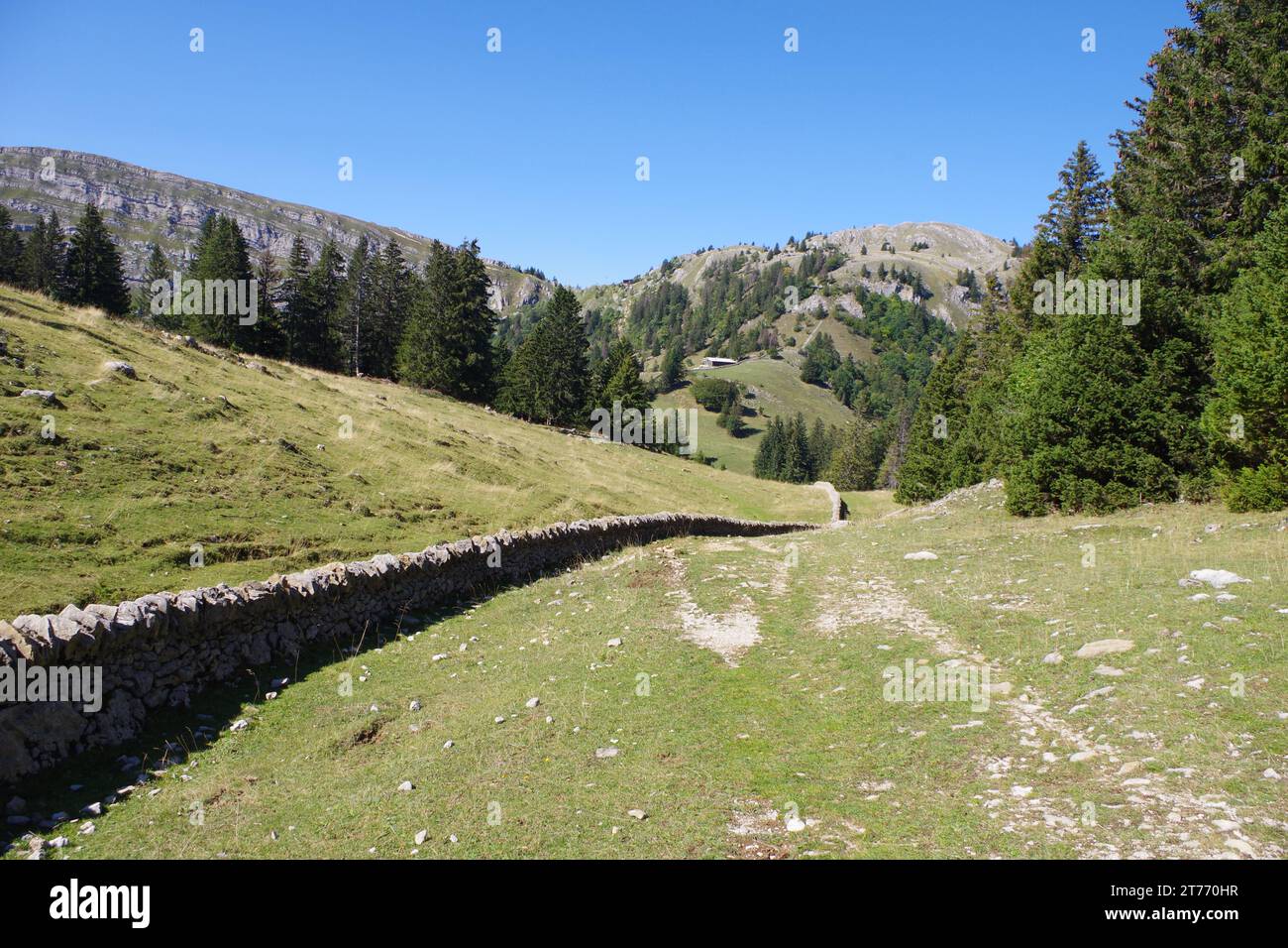 Views approaching La Dôle, Jura Mountains, Switzerland Stock Photo
