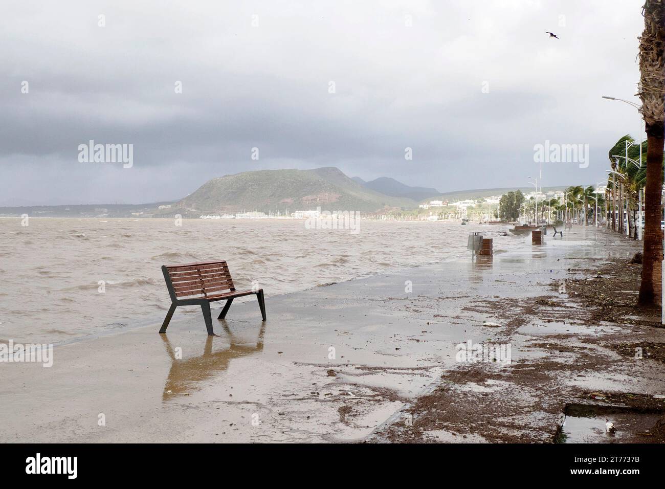 The effects of Hurricane Norma October 2023 La Paz Baja California Sur