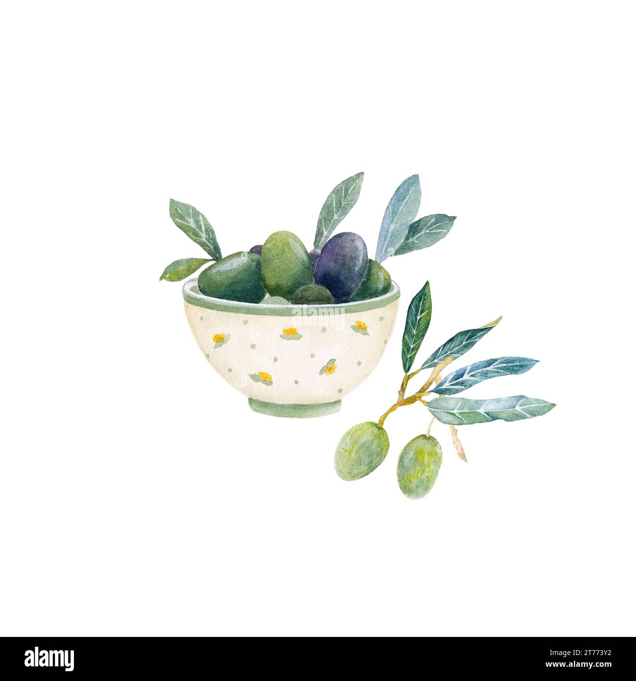Watercolor bowl with jucy olives. appetizer with ripe olives. Hand draw watercolor illustration of olives and olive branch. Stock Photo