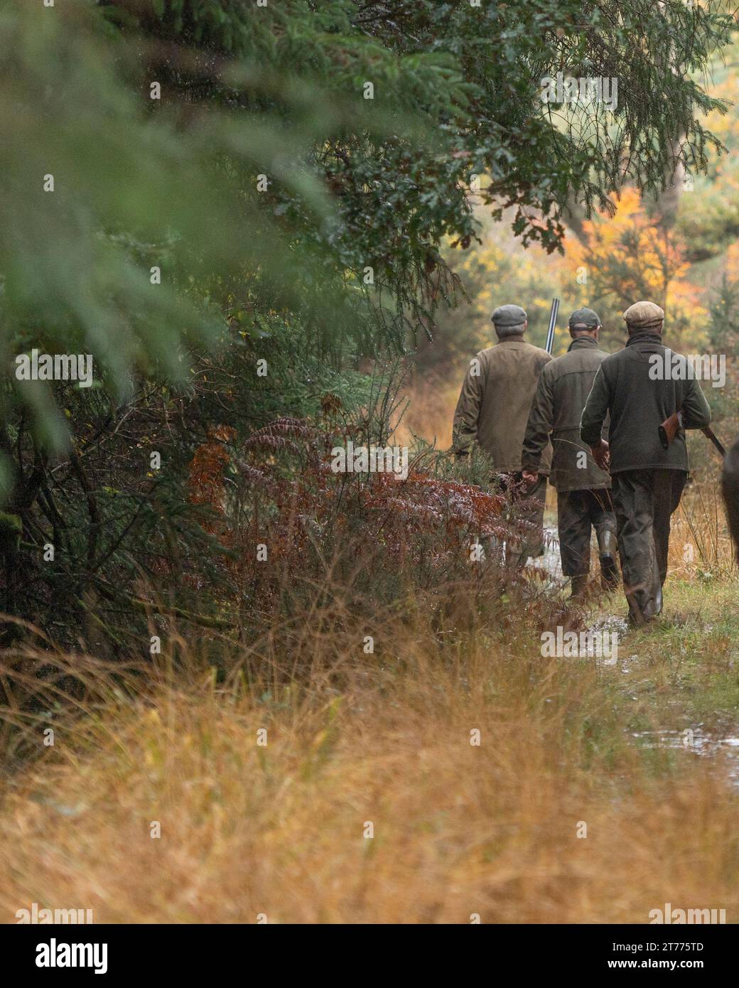group of shooters walking through woods Stock Photo