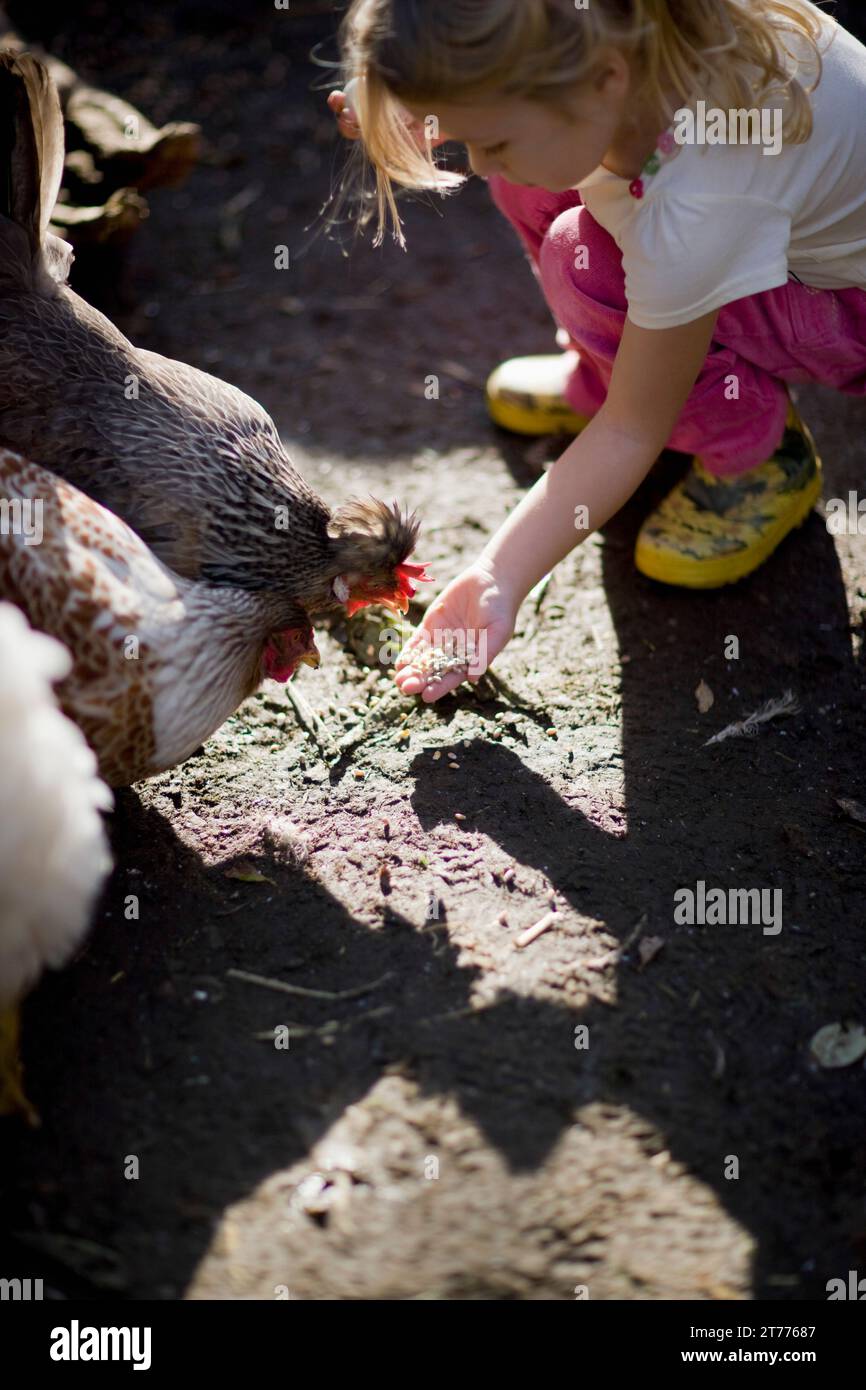 Young girl feeding chickens Stock Photo